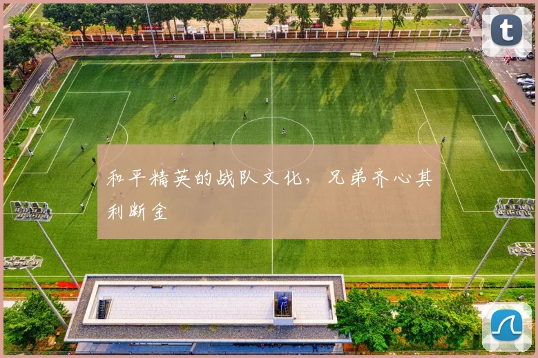 和平精英的战队文化，兄弟齐心其利断金